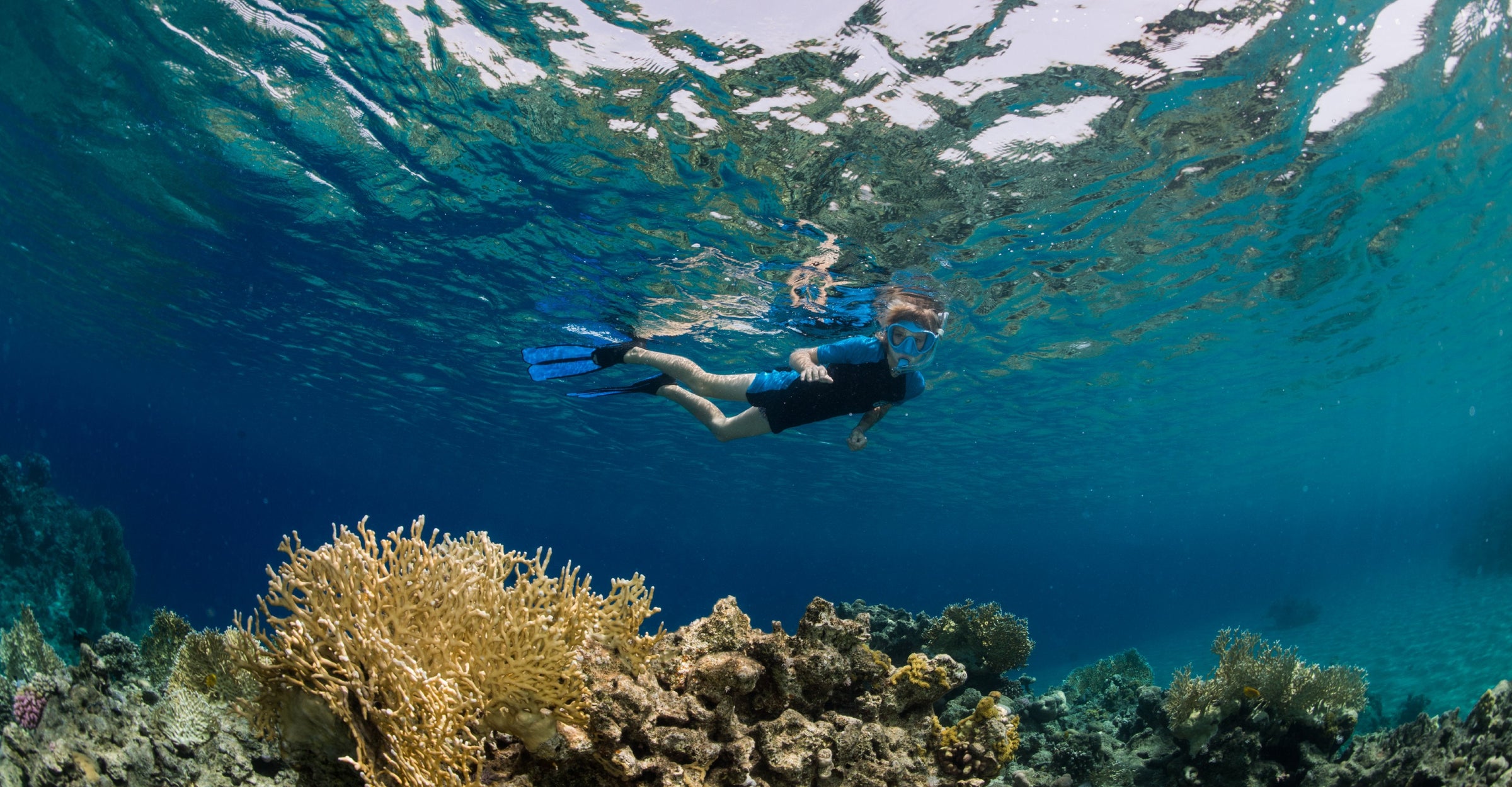 Snorklaaja trooppisessa vedessä